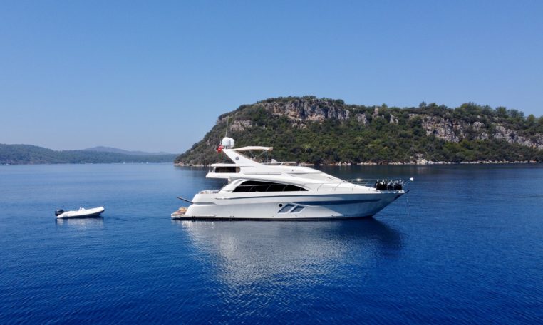 Marquis 560 Fly