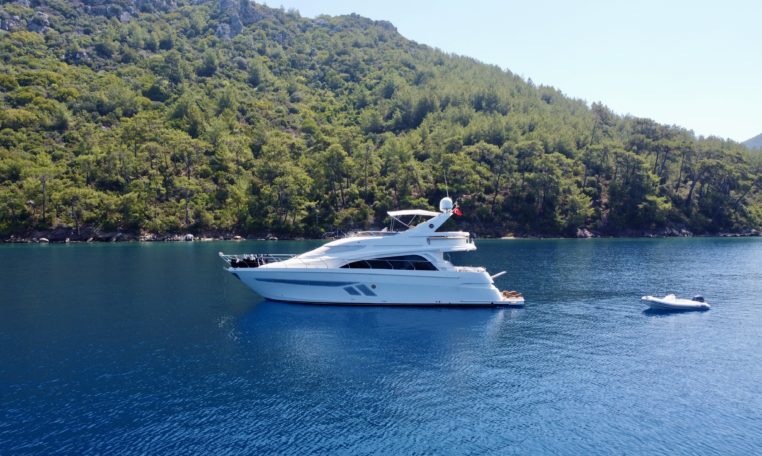 Marquis 560 Fly